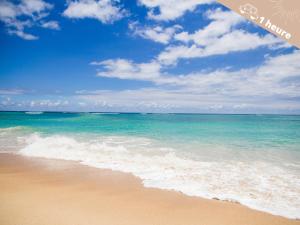 Appartements La Cabane nimoise avec Clim : Appartement 1 Chambre