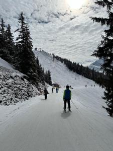 Ferienwohnung Hochstein