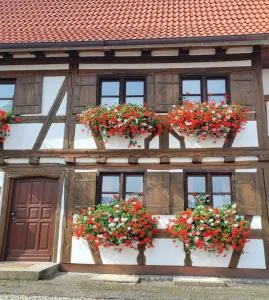 Ferienwohnung Hiemer - باد غرونينباخ