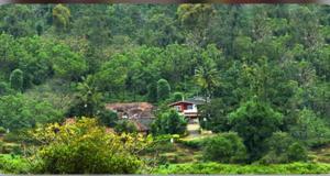 Coorg Naladi holidays