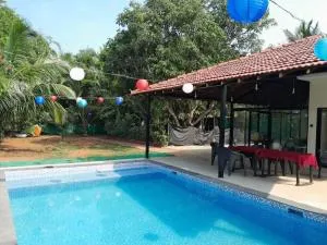 Kokani Vibes Alibag - Sasawane