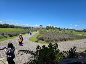 Suite Raffaello: Diseño y Comodidad en ValQuirico