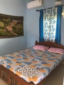 Seashell - 马尔冈