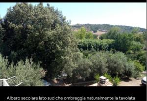 VILLALoddo1 frontemare Tertenia img32