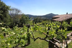 Fee4Me OPepito The Peace Corner