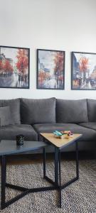 Aspectus apartmani Divcibare