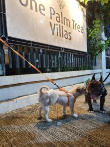 Palm Tree Villas Condominium by Beth