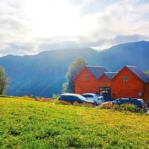 Emosh'un Tatil köyü - Dikkaya