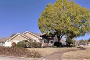 The Healing Haven - Sandalwood