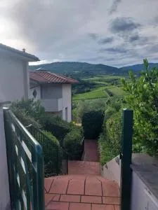 nel Chianti vicino Firenze - Scopeti