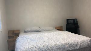Near Toronto Pearson Airport Queen Room