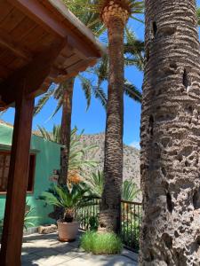 Casa rural Las Palmeras