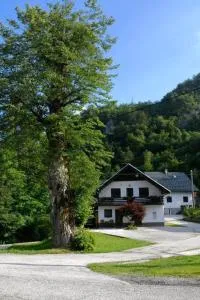 Apartma pri lipi - Jereka