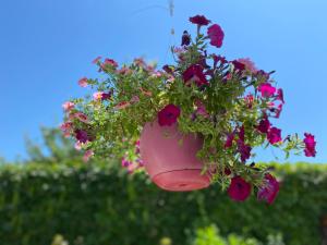 Appartements Strasbourg 3 pieces Vue sur le jardin : photos des chambres