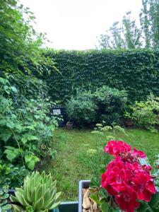 Appartements Strasbourg 3 pieces Vue sur le jardin : photos des chambres