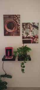 The Location by Studio Fakhr