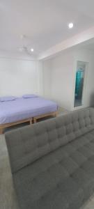 Hermoso estudio almendro