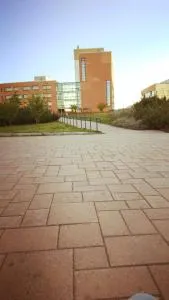 Talvi - 里希迈基