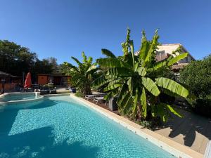 Maisons d'hotes Gites Le Patio34 : photos des chambres