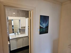 Frozen Arctic Waterfall Appartment