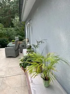 Waldtraum Wandlitzsee - 万德利茨