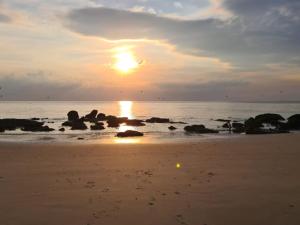 Maisons de vacances Le cottage sauvage : photos des chambres