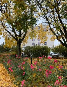 Appartements Studio Parlement 5 min : photos des chambres