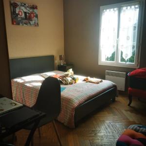 Villas Les volets bleus : photos des chambres