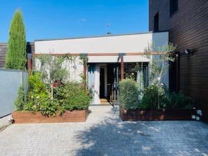 Appartements Studio NEUF : photos des chambres