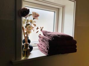 Cozy Flats Silkeborg - S3