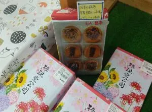 民泊M103ｔ - Satte