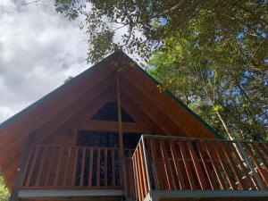 Cabañas Rabbits hole