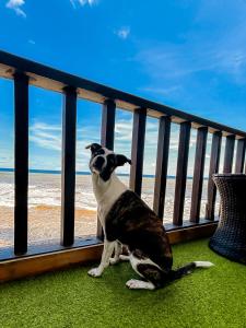 Sunset Views - Acogedor con vista al mar