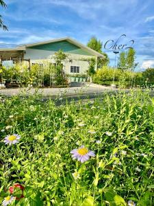 หลัง 2 เฌอเฌอ การ์เด้น เฮาส์ ที่พักคำชะโนด