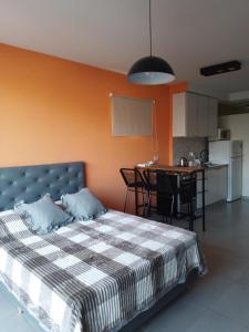 Arevalo Home Mono contrafrente
