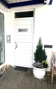 Carpe diem - Streichen