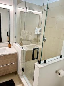 Modern Luxury Apartment in City