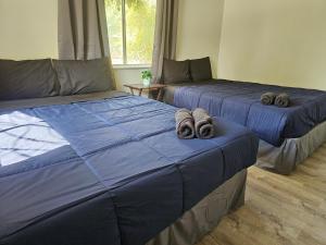 Homey 2BR Home Near DT&Airport