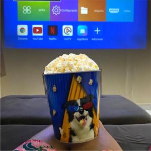 Apto Aconchegante Perto da Praia e Shopping