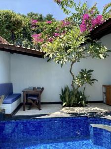 Stay Shark Villas Gili Air
