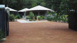 Queen Safari Tent 1