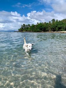 Sunset Beach Resort Weh