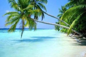 Lujoso junto a la 5th avenida 306