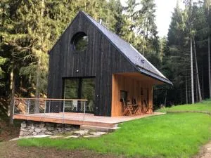 Domek Orlické hory - Osečnice