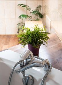 Maisons de vacances Maison OPTIKU CORMEILLES : photos des chambres