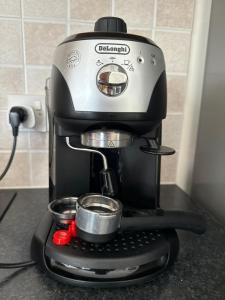 Arting Sea-A Dog friendly house