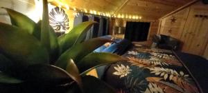 Chalets Kota -Dans les etoiles- : photos des chambres
