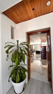 Villa con piscina privada Palmeras Home