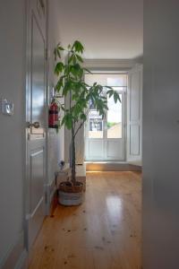 CL Ildefonso I Apartment