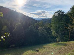 Black Pearl - Blockhaus inmitten der Natur